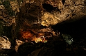 Kanary_2010 303